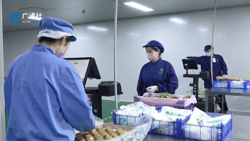 江蘇直通車 探訪南京豐浩華食品供應(yīng)鏈管理有限公司的創(chuàng)新之路